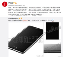 老罗手机游戏安卓,引领潮流