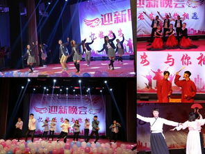 小鸟音乐会游戏 