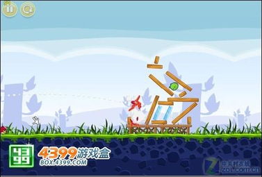 夏日度假小公主 