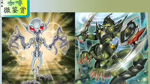 海王方舟最新版 