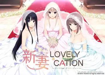 老婆们大战胖僵尸游戏正版 