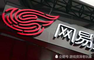 蛋仔派对网易服务器游戏版本下载安装 