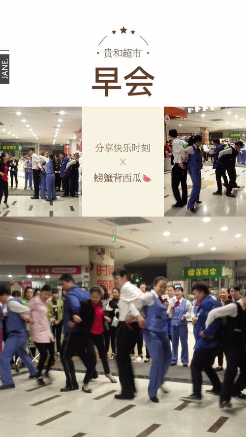小鸟音乐会游戏 