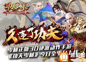 少林伏魔录 