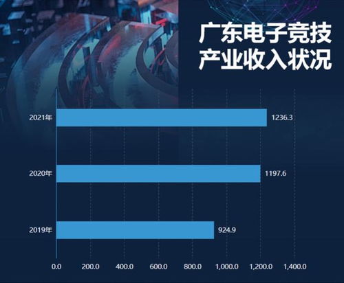 有收入 