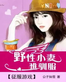  *** 衣服游戏iOS版 