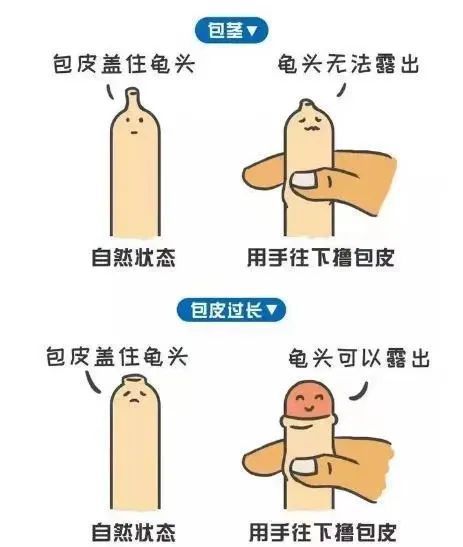 酥皮小说app下载免费 