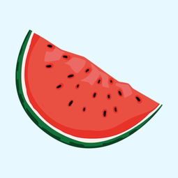 西瓜书城小说免费阅读 