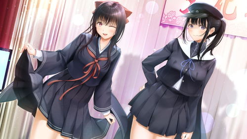  *** 衣服游戏iOS版 