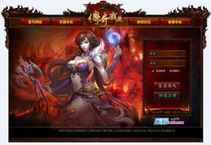 文都网校 
