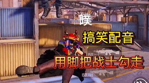 笨手笨脚的猫 