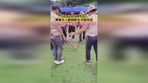双人合作官方版下载 