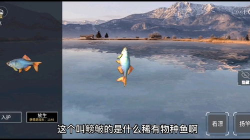 小猫钓鱼游戏 