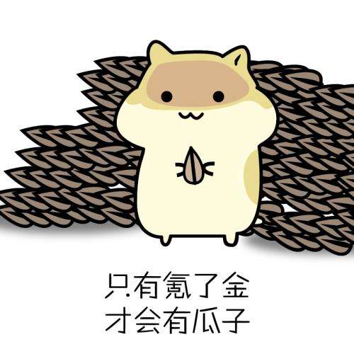 有意思旅游 